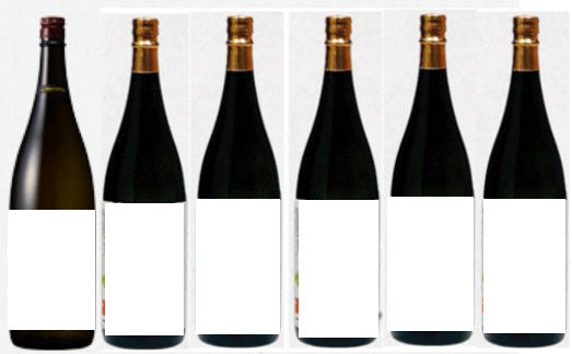 麦焼酎 1800mlのいろいろ6本セット